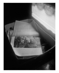 © Benedetta Casagrande