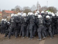 Silent Spring © Michele Borzoni