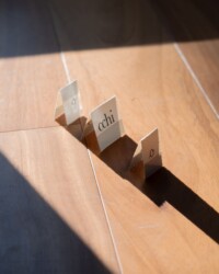 © Federica Torrenti