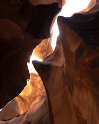 © Federica Torrenti